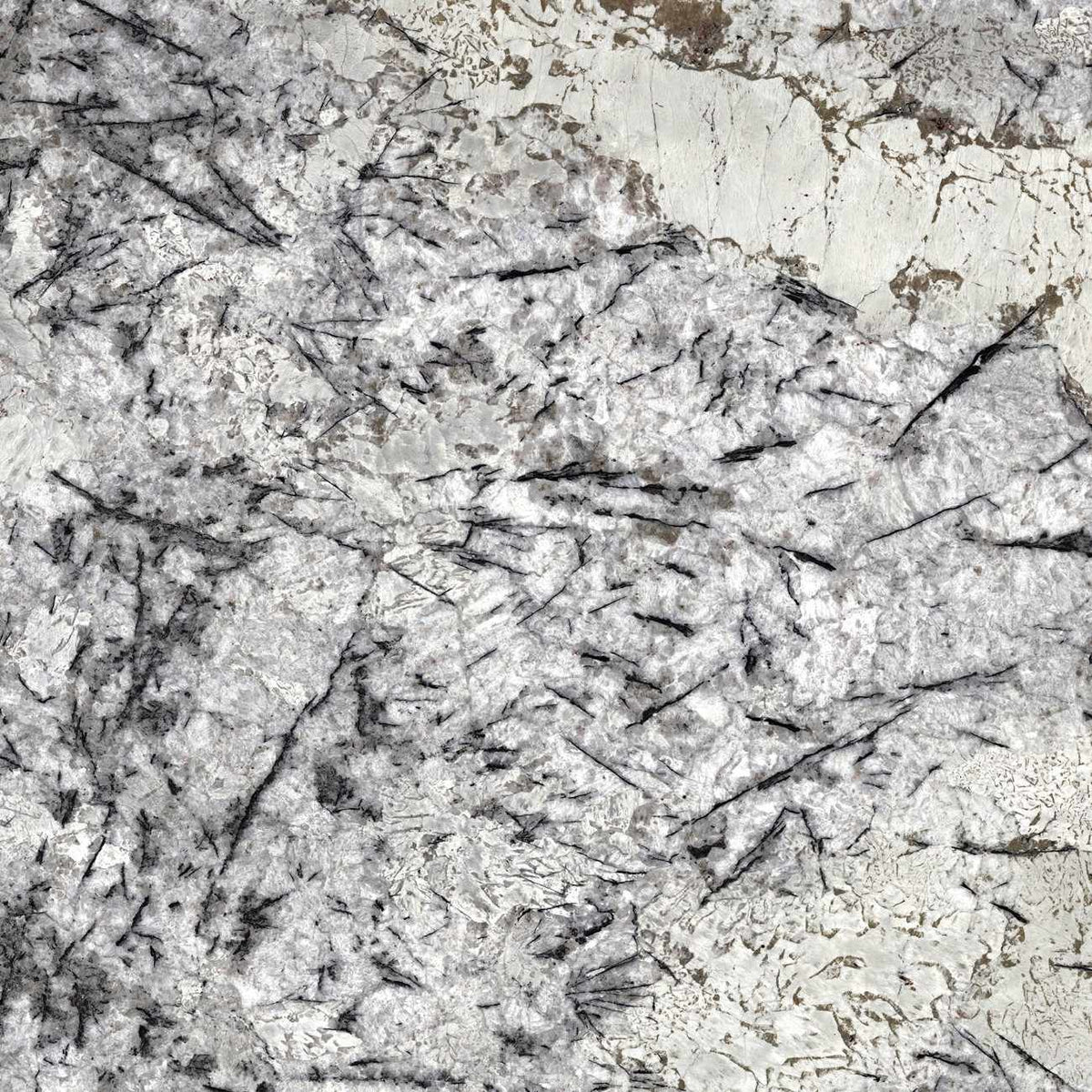 Ice Blue19 natural stone countertop - white granite with black spots and cream veins, Sensa surface