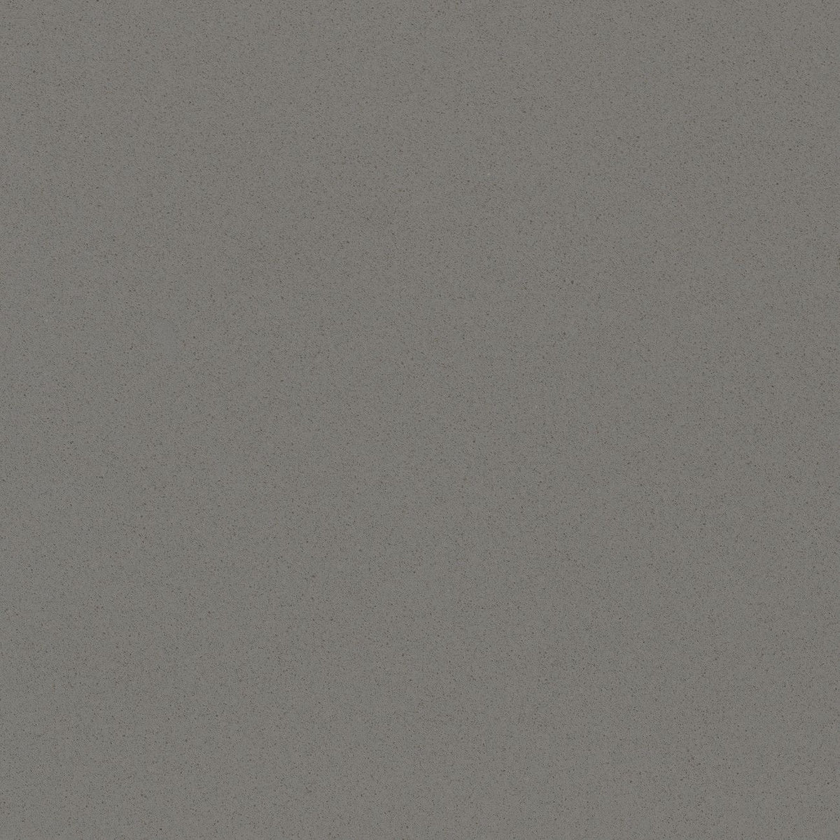 Gobi Grey quartz countertop - fine-grained mid-grey TechniStone surface