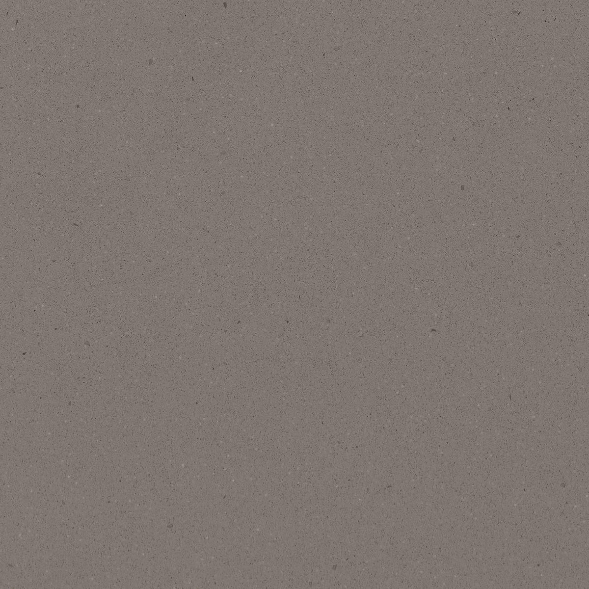 Gobi Urban quartz countertop - soft grey flecked TechniStone surface